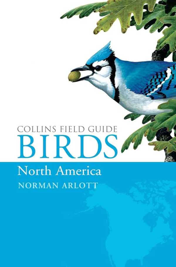 COLLINS FIELD GUIDE: BIRDS OF NORTH AMERICA – GrimiBirds